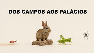 Dos Campos Aos Palácios