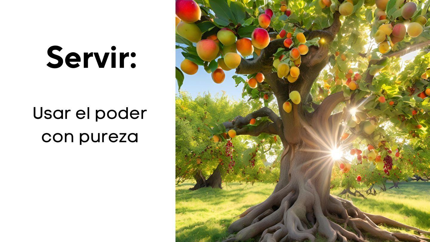 Servir, Usar El Poder Con Pureza San Juan 13:6-7 Reina Valera Contemporánea