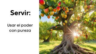 Servir, Usar El Poder Con Pureza