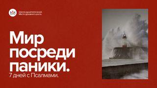 Мир посреди паники. 7 дней с Псалмами.