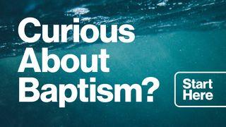 Curious About Baptism