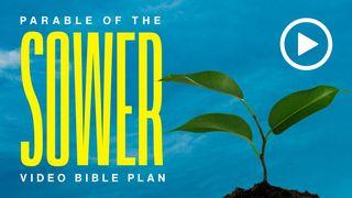 The Parable of the Sower: 4-Day Video Bible Plan