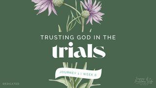 Trusting God in the Trials