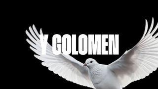 Y Golomen