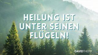 Heilung ist unter seinen Flügeln!
