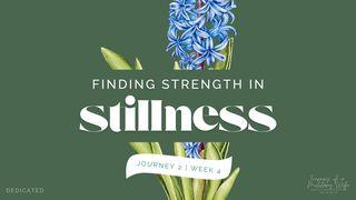 Finding Strength in Stillness