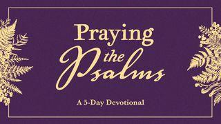 Praying the Psalms