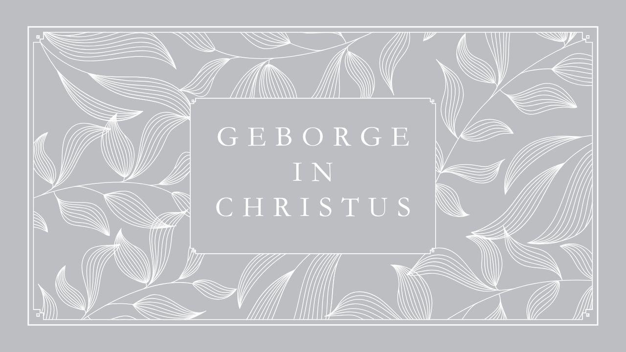 Geborge in Christus - 'n Studie van Efesiërs