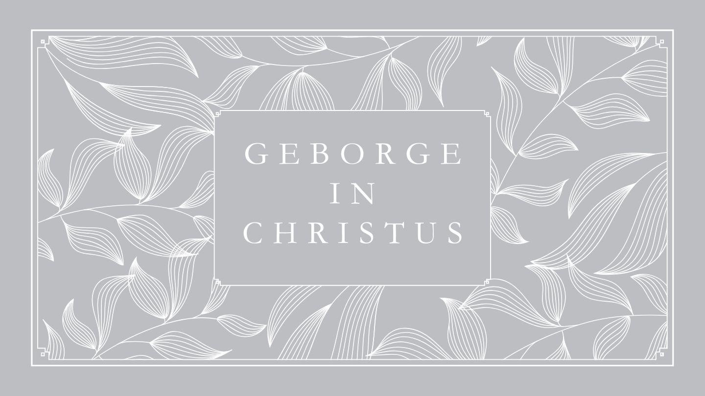 Geborge in Christus - 'n Studie van Efesiërs