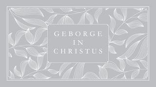 Geborge in Christus - 'n Studie van Efesiërs