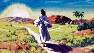 Jesús: El Único Camino, La Verdad Viva Y La Fuente De Toda Vida