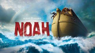 NOAH: A Message of Faithfulness