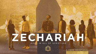 Zechariah: Hope for God's Presence | Video Devotional