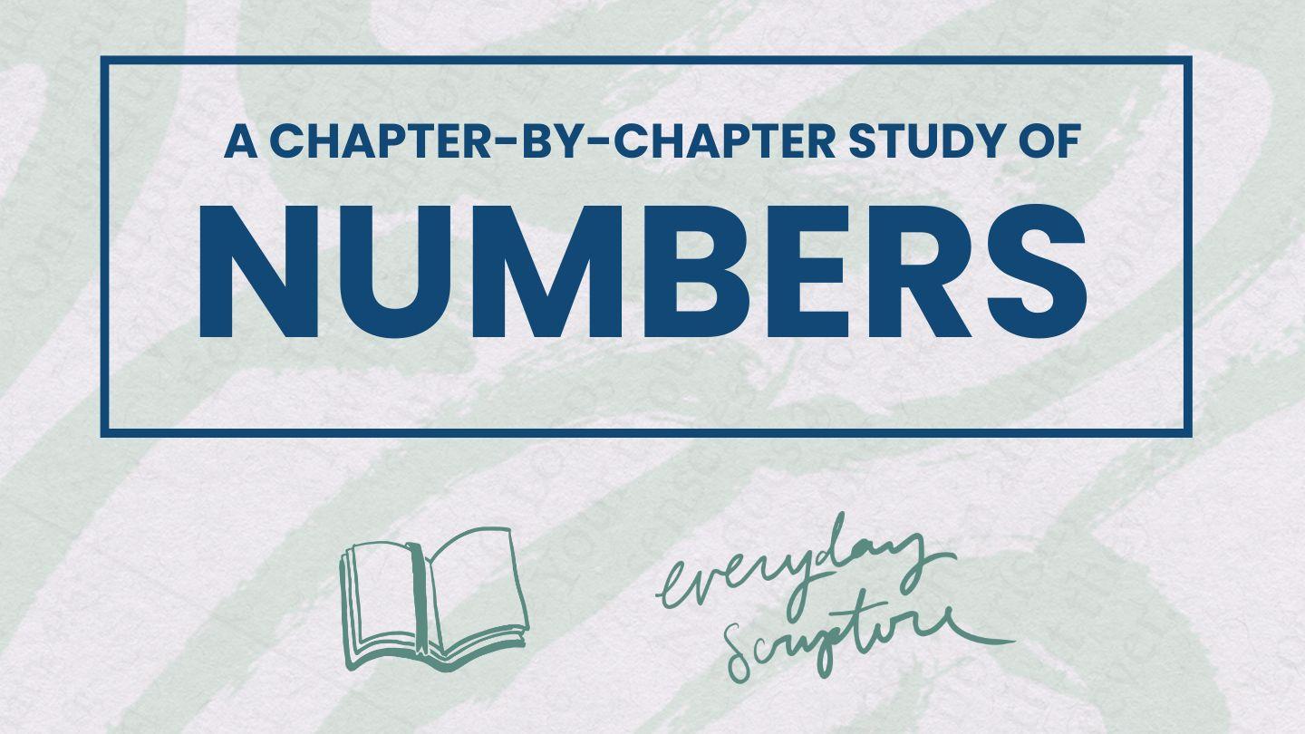 Numbers | Reading Plan + Study Questions
