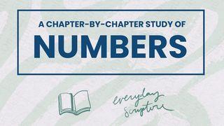Numbers | Reading Plan + Study Questions
