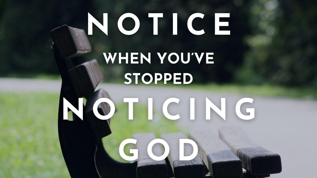 Notice When You've Stopped Noticing God