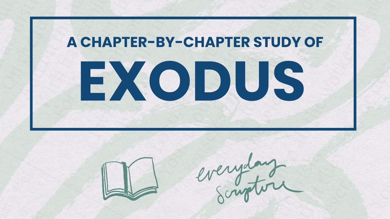 Exodus | Reading Plan + Study Questions