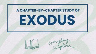 Exodus | Reading Plan + Study Questions