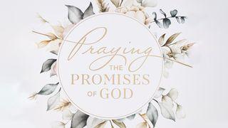 Praying the Promises of God | Devotional for Women