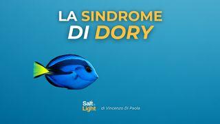 La Sindrome Di Dory