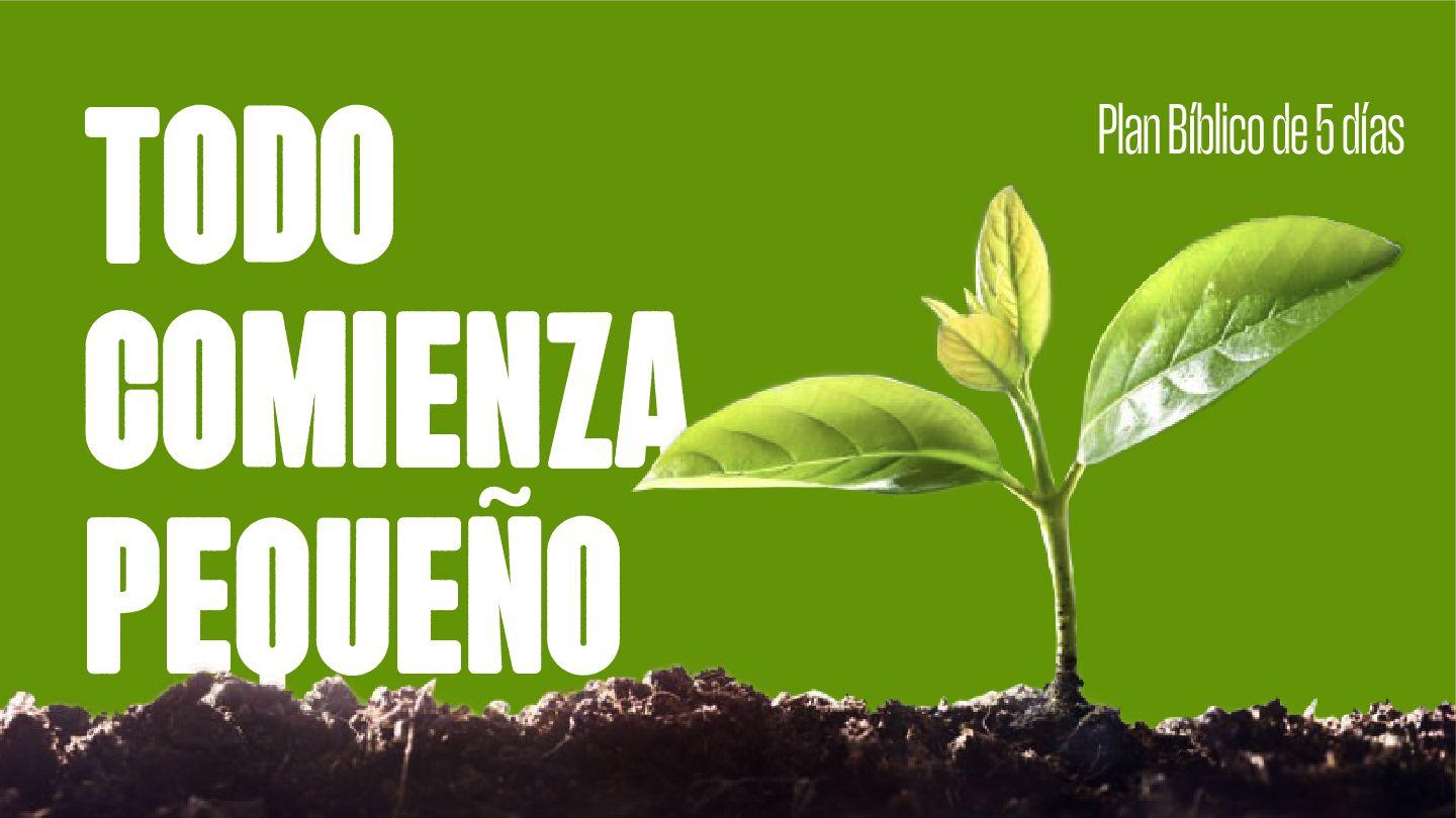 Todo Comienza Pequeño