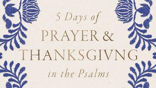 5 Days of Prayer and Thanksgiving in the Psalms