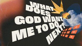What Does God Want Me to Do Next?