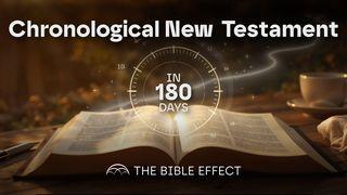 New Testament Chronological Reading Plan