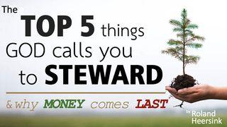 The Top 5 Things God Calls You to Steward — and Why Money Comes Last