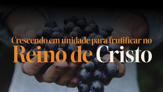 Crescendo em unidade para frutificar no Reino de Cristo