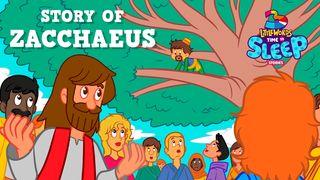 Zacchaeus: The Unexpected Journey of Redemption