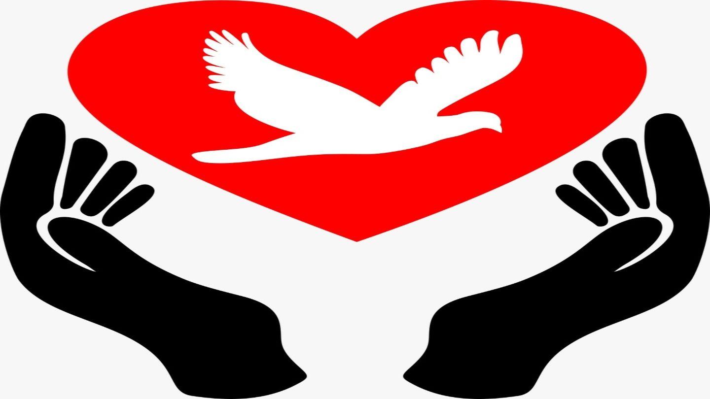 Camino a La Paz Que Guarda El Corazón