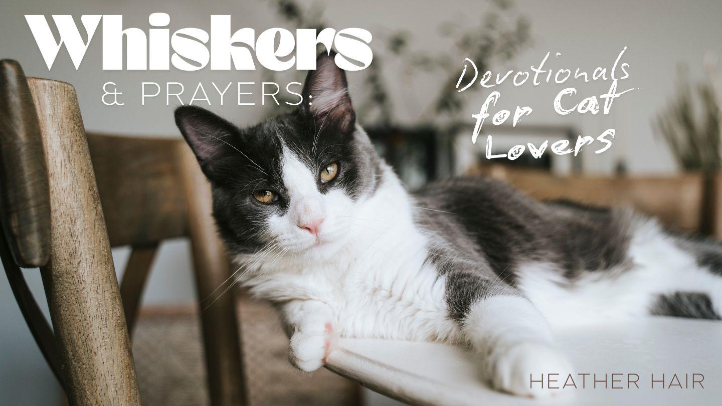 Whiskers & Prayers: Devotionals for Cat Lovers Matiö 10:31 Dan Blowo (Yacouba) Nouveau Testament