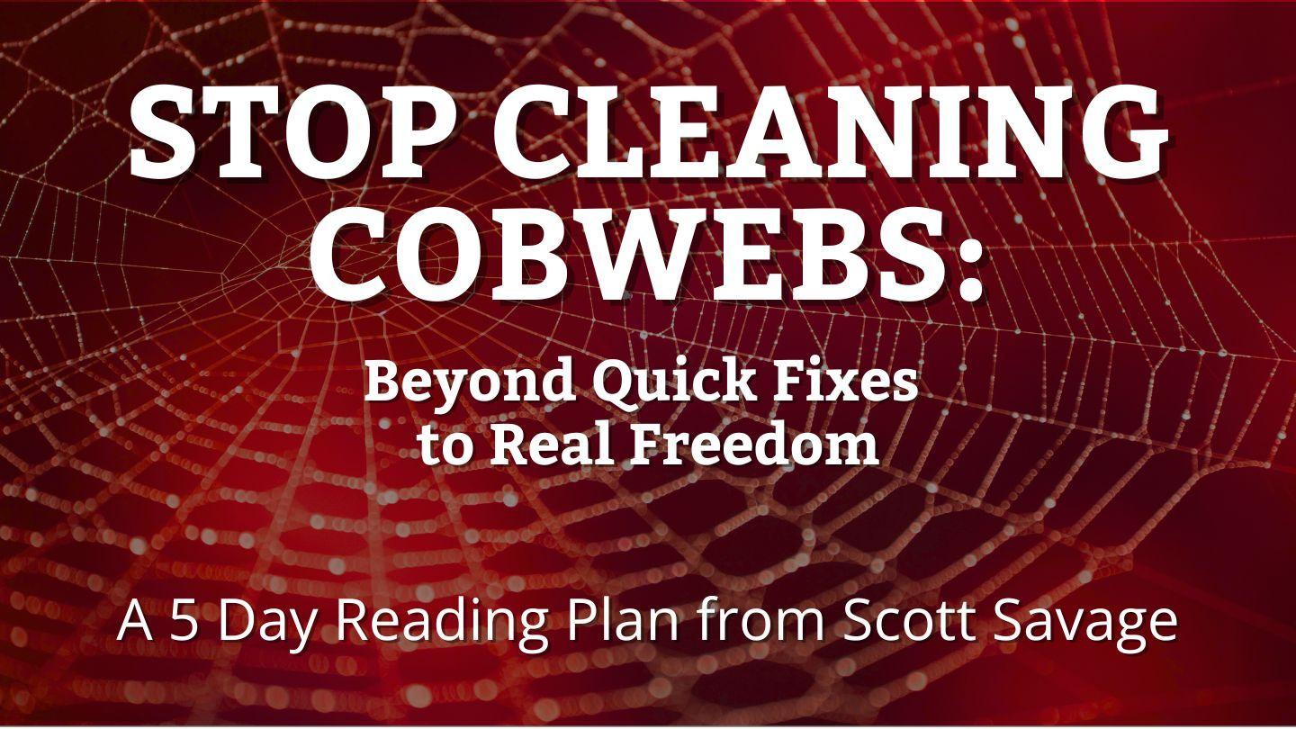 Stop Cleaning Cobwebs: Beyond Quick Fixes to Real Freedom