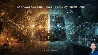 La Saggezza Che Precede La Comprensione