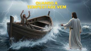 Quando a Tempestade Vem