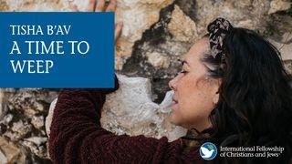 Tisha B'Av: A Time to Weep