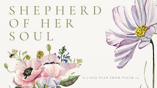 Shepherd of Her Soul: A 7-Day Plan From Psalm 23
