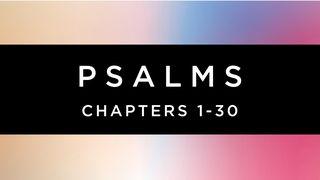 Psalms 1-30 Book Study - TheStory
