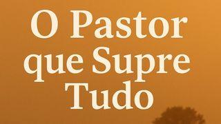 O Pastor Que Supre Tudo