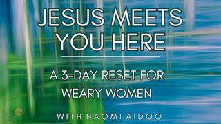 Jesus Meets You Here: A 3-Day Reset for Weary Women