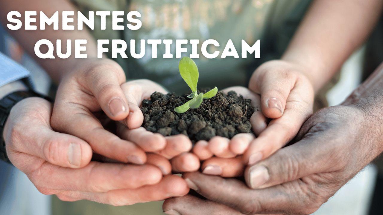 Sementes que frutificam