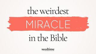 The Bible's Weirdest Miracle (And Why It Changes Everything)