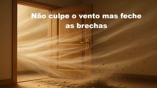Não culpe o vento mas feche as brechas