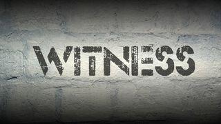 Witness