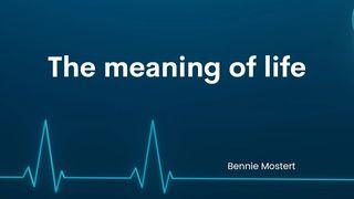 The Meaning of Life