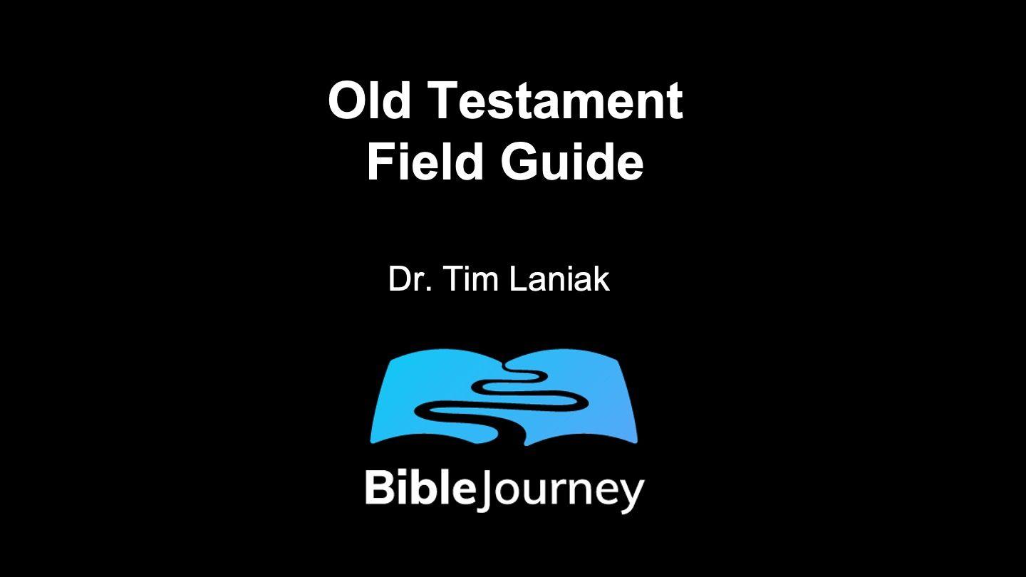 Old Testament Field Guide Leviticus 24:19-20 King James Version