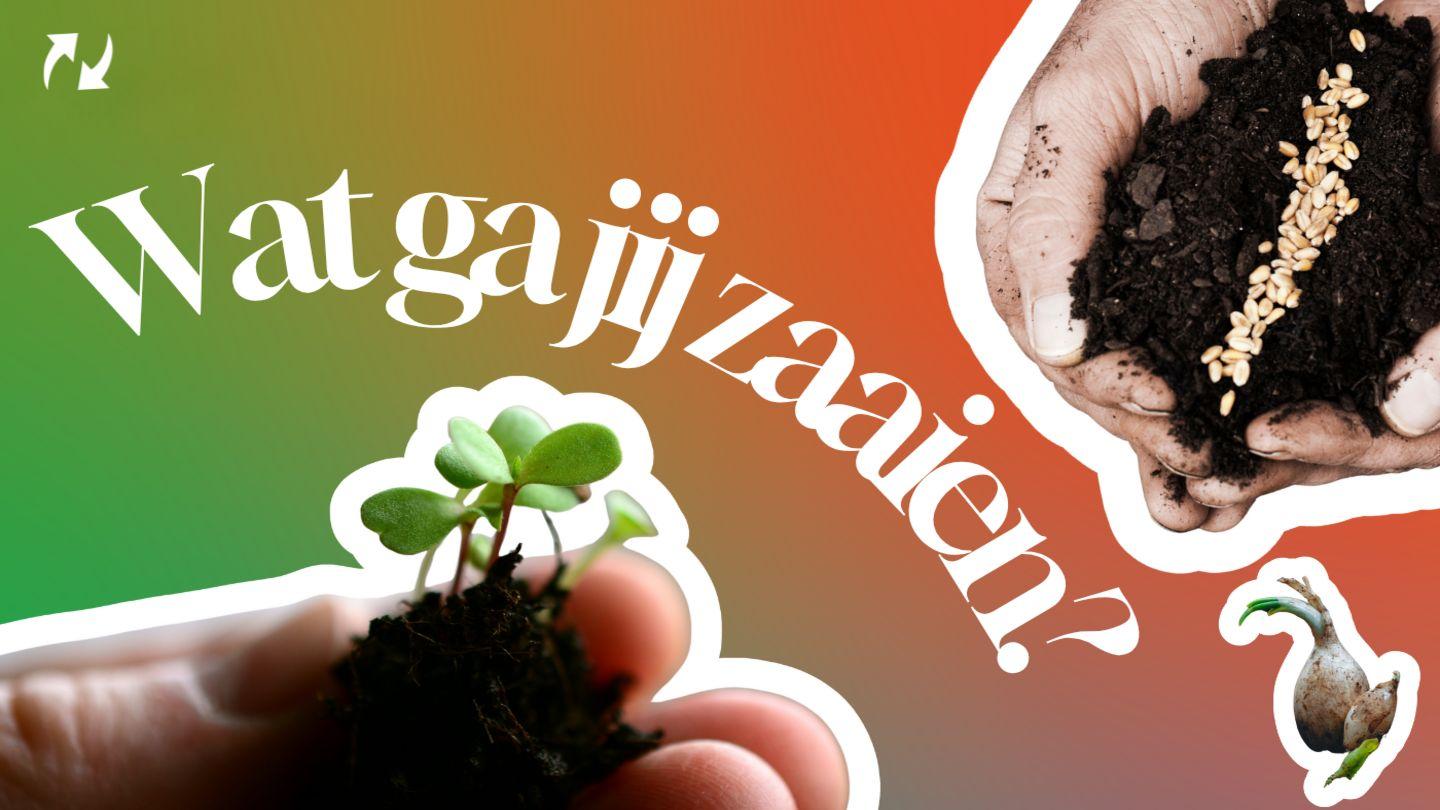 Wat ga je zaaien?
