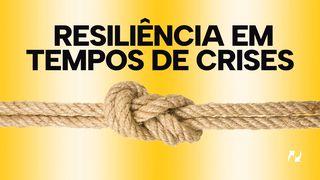 Resiliência em tempos de crises