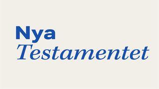 Nya testamentet i tematisk ordning